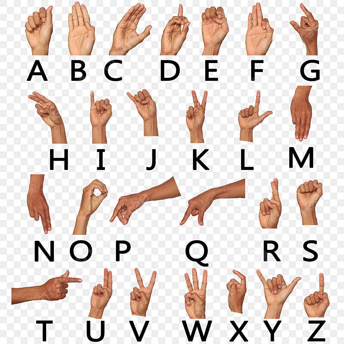 Sign Language
