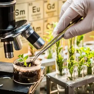 Crop Science