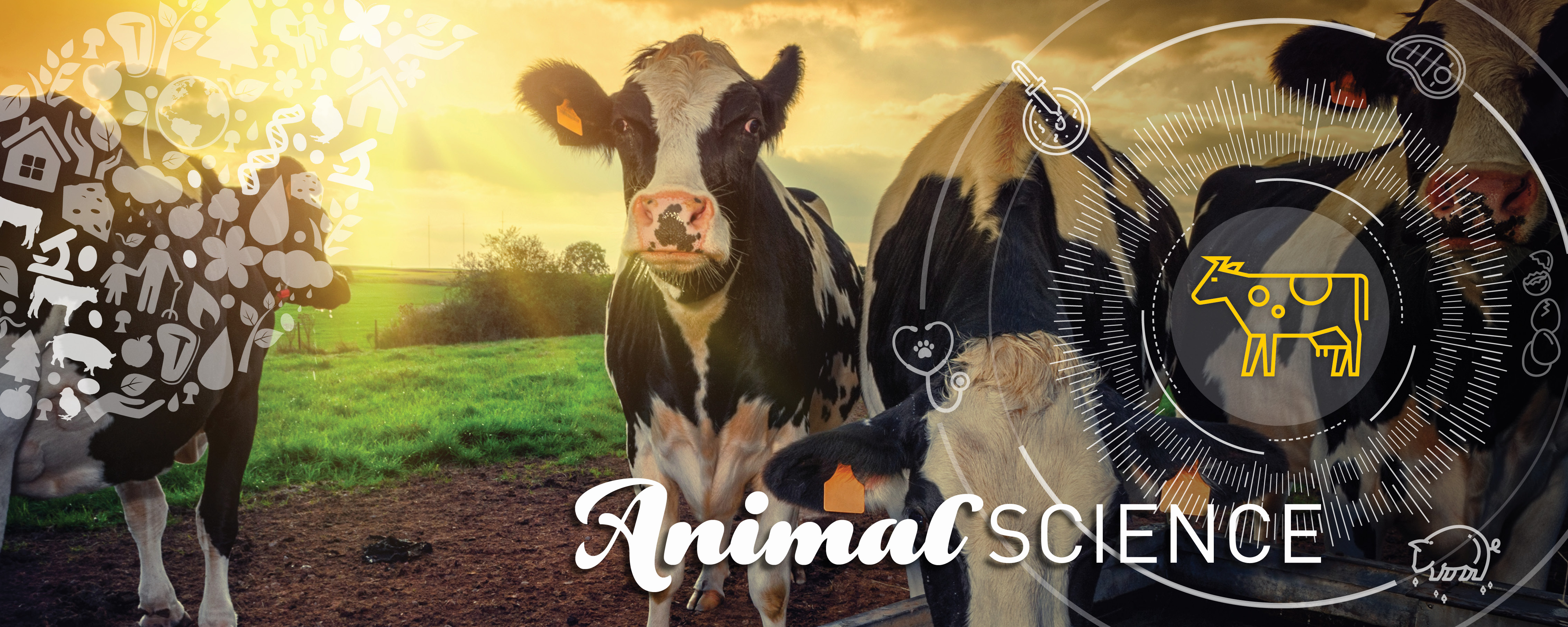 Animal Science
